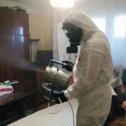 Дезинфекция от клопов в Бугуруслане