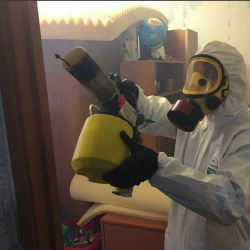 Уничтожение клопов в квартире. Бугуруслан
